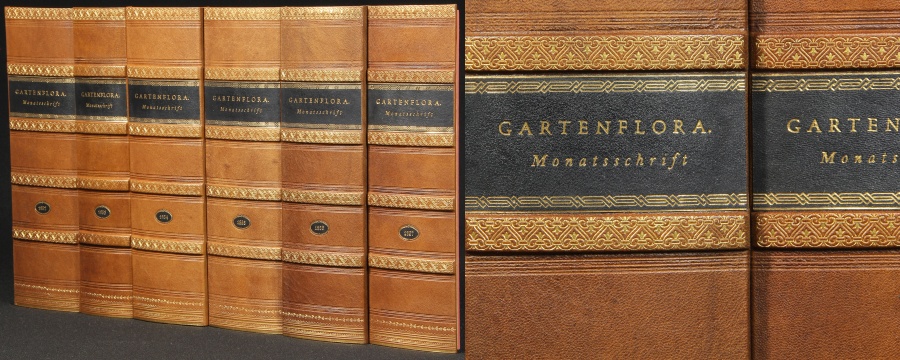 Grzbiety zabytkowych książek na panelu