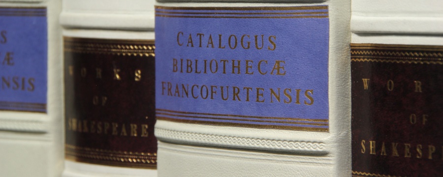 Skórzany panel - atrapy książek