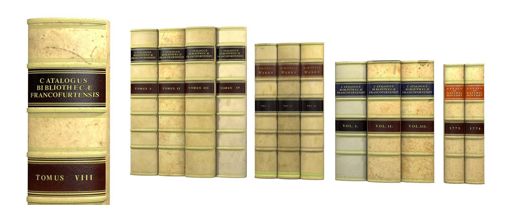 grzbiety atrapy książek