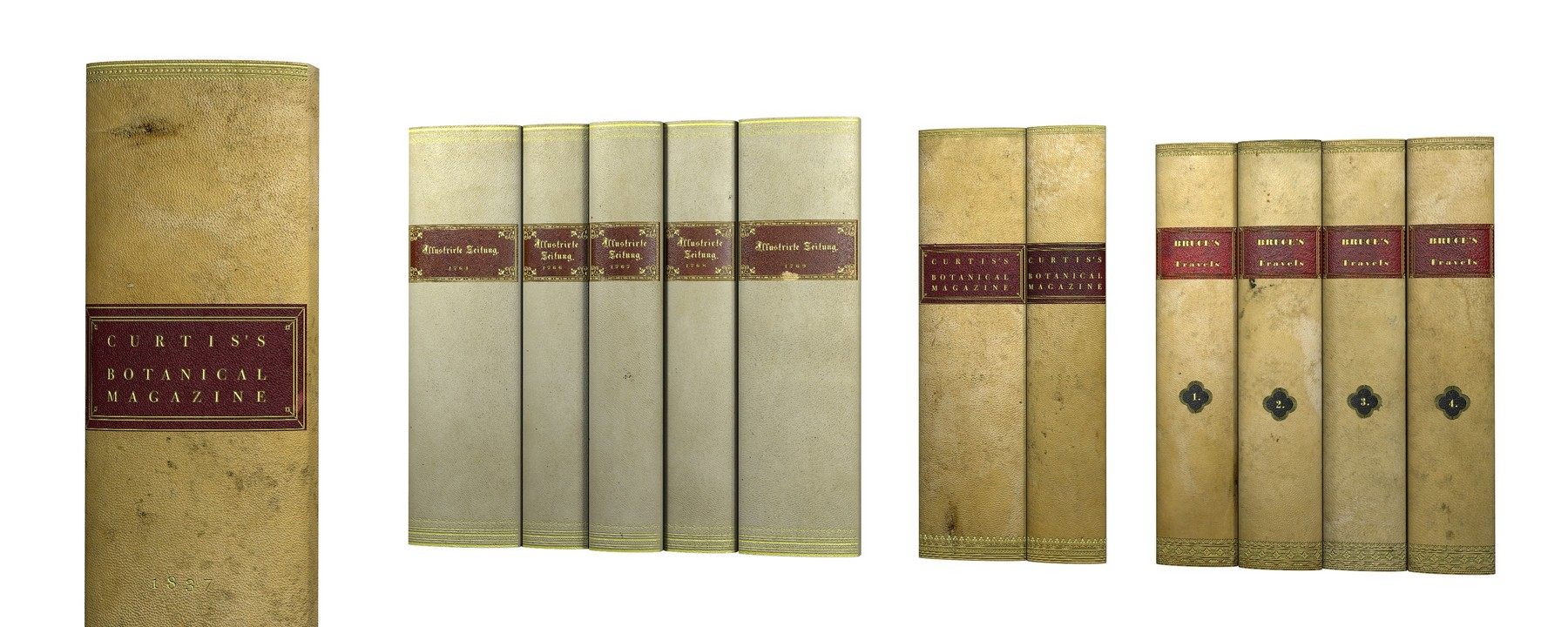 Skórzany grzbiet książki