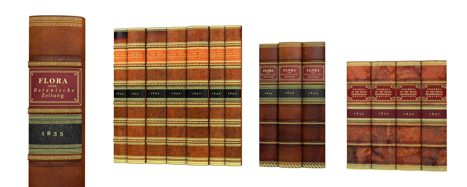 Skórzany grzbiet książki