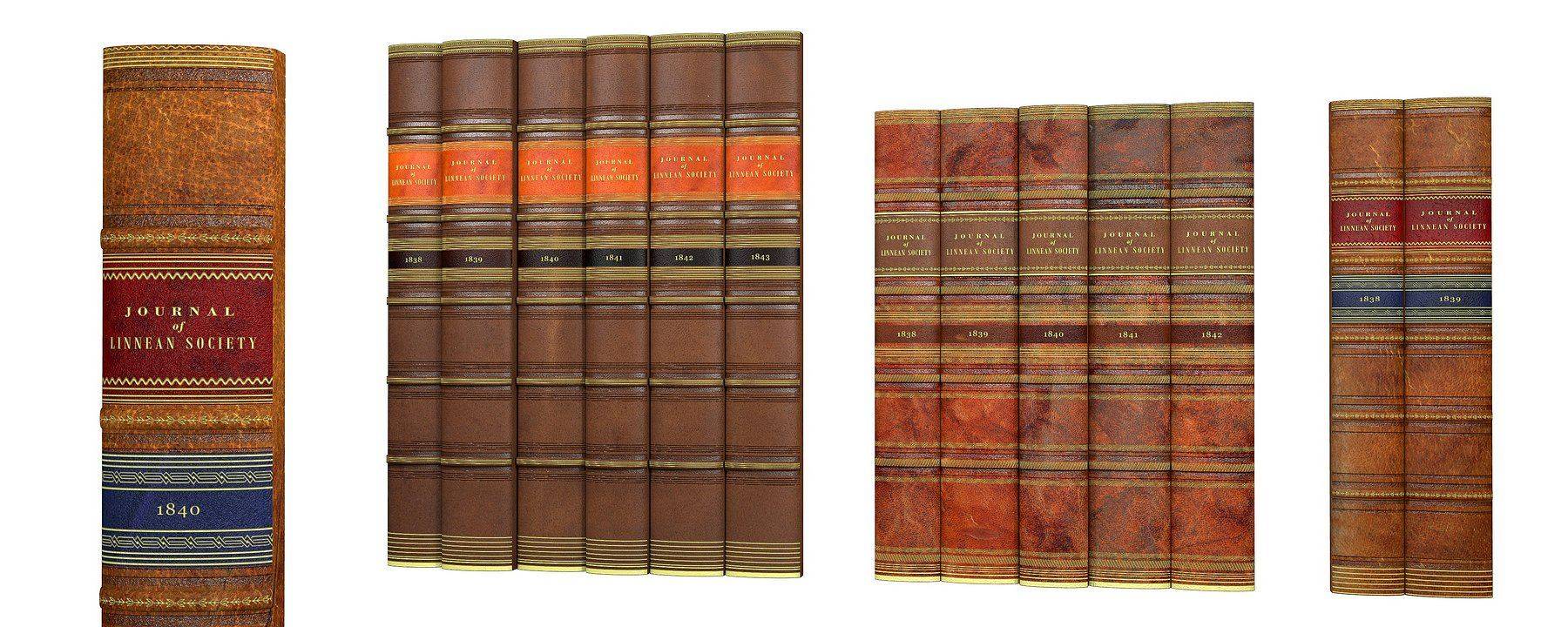 Skórzany zdobiony front atrapa książki