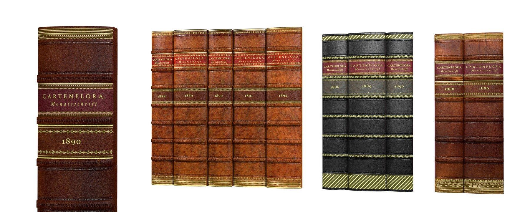 Tłoczone w skórze złocone książki segregatory